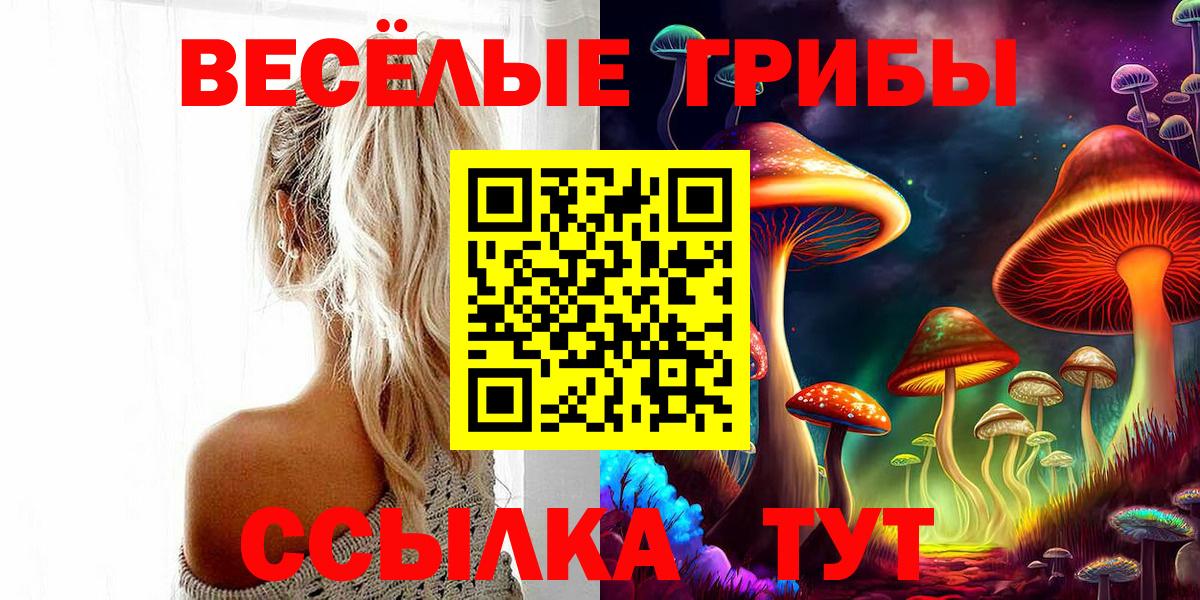 Псилоцибиновые грибы Psilocybine cubensis  Вход с VPN  Курчатов 